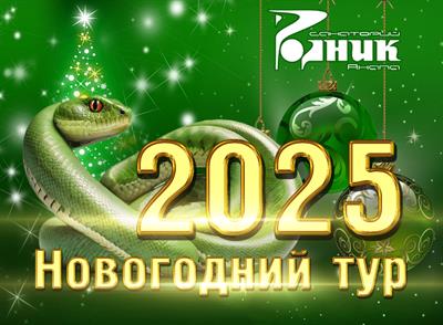 Новогодний и Рождественский туры 2024 в Санатории Родник