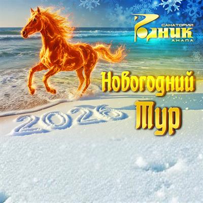 Новогодний тур в Санатории «Родник»